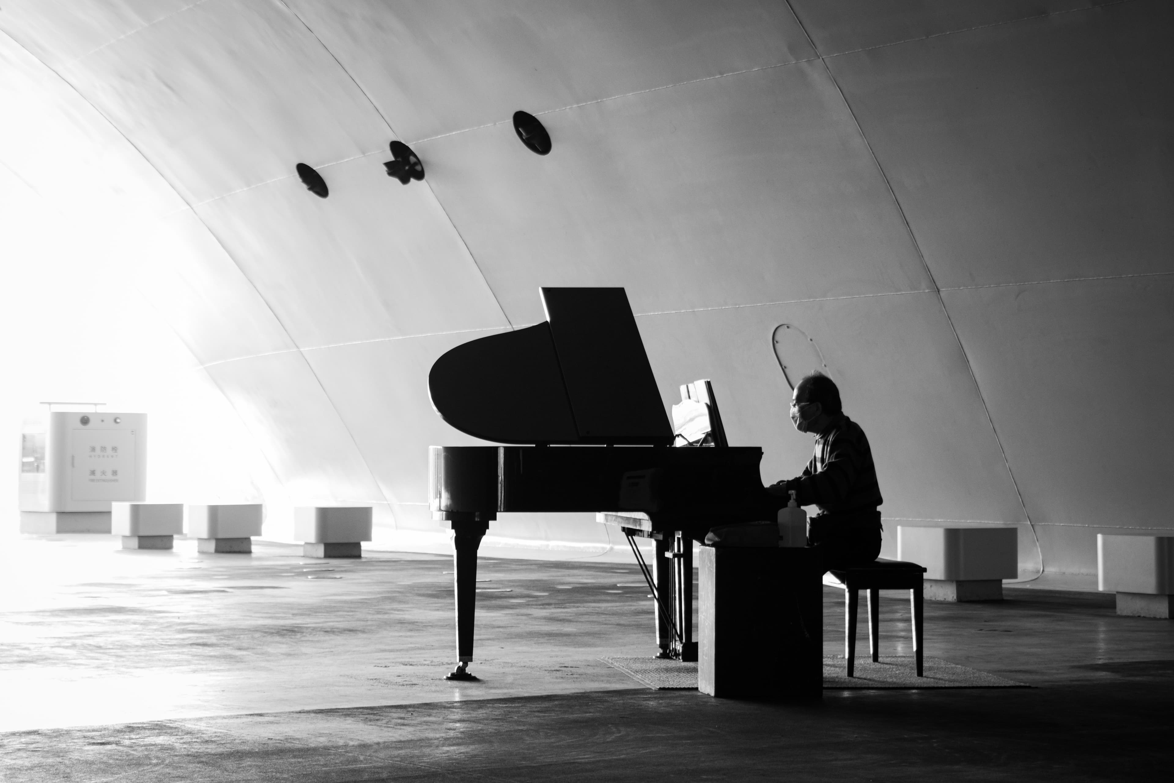 Pianista Henryk Walezy